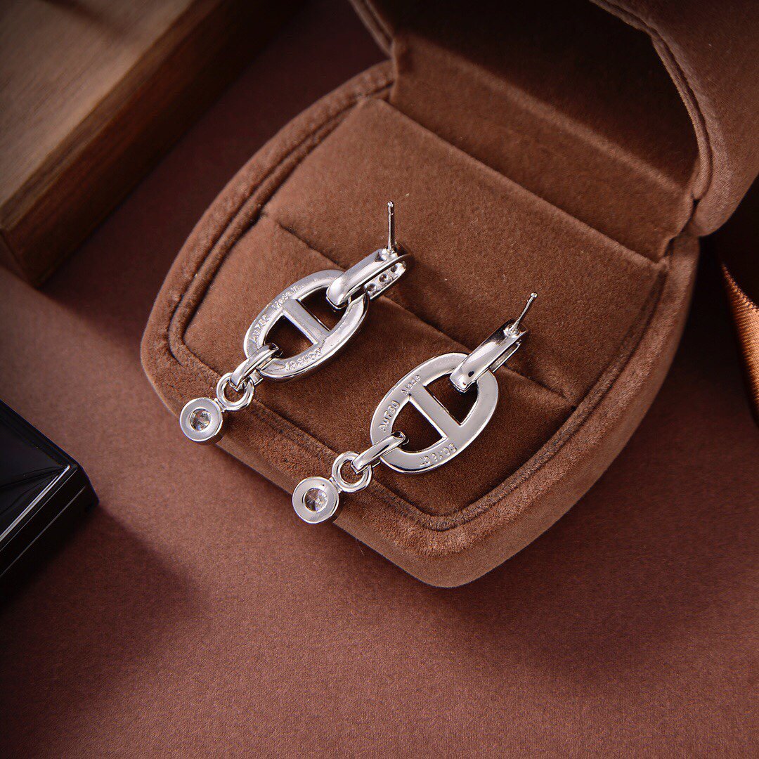 [Novalux]HM CHAINE DIAMOND EARRINGS