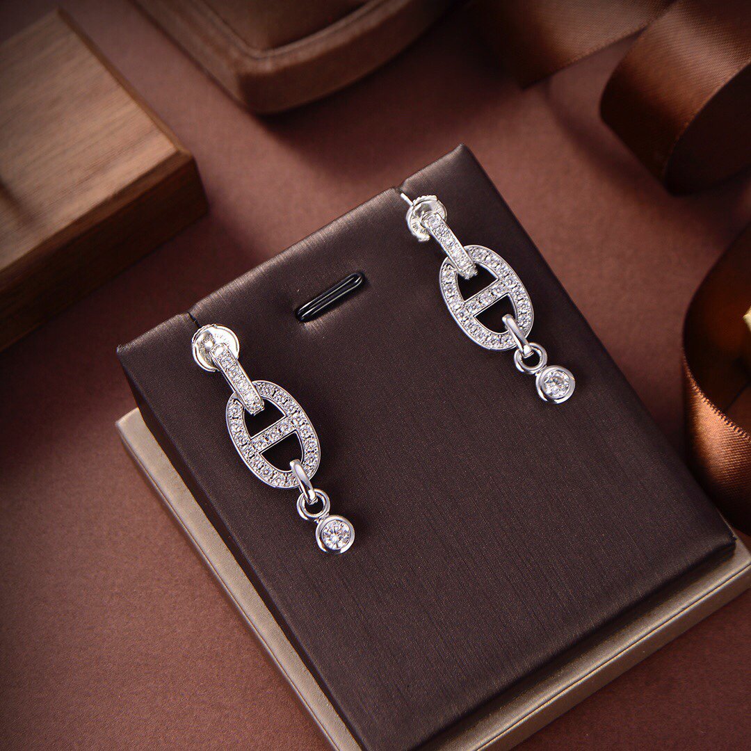 [Novalux]HM CHAINE DIAMOND EARRINGS